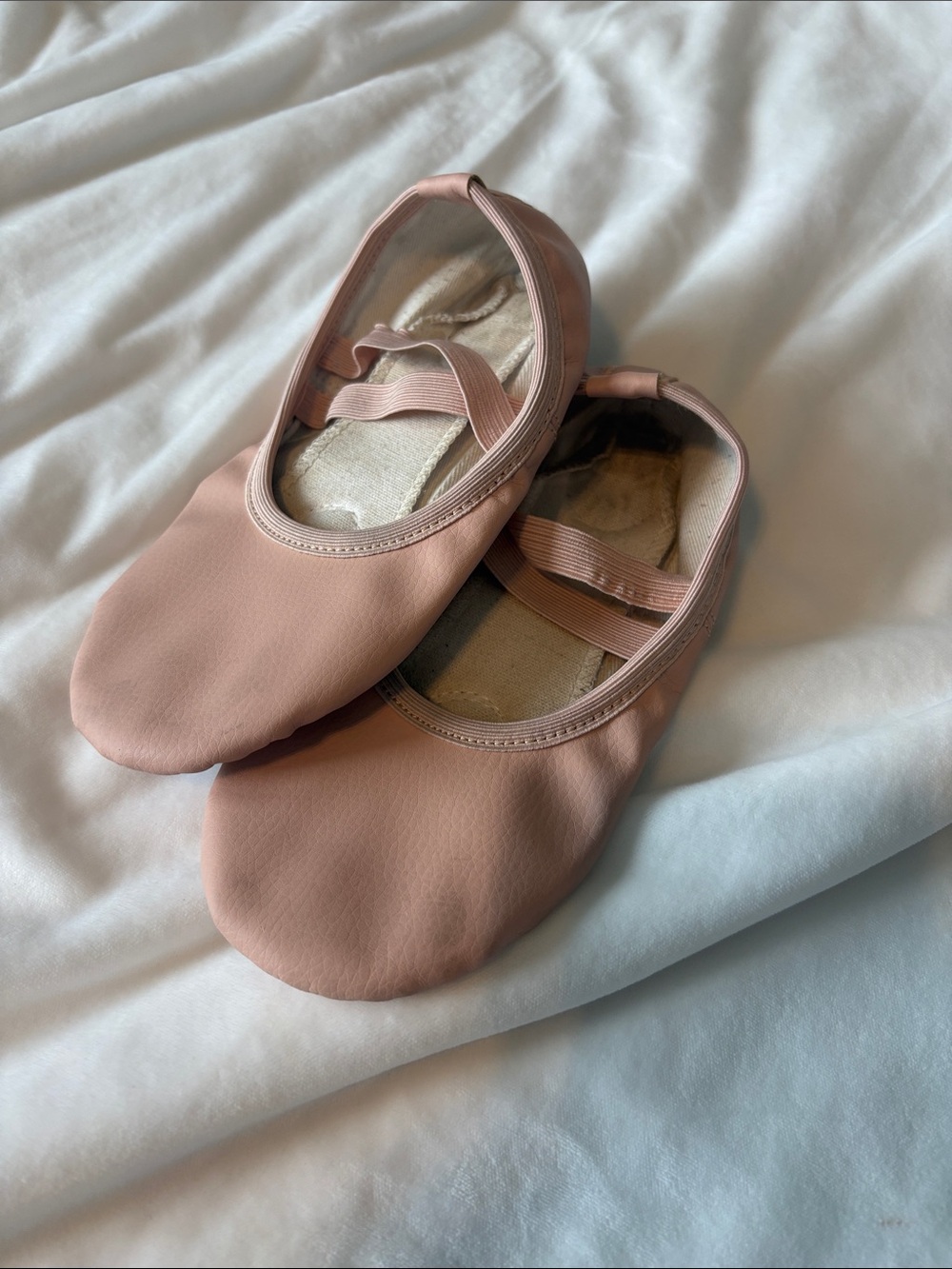 Ballet Slippers in Blush